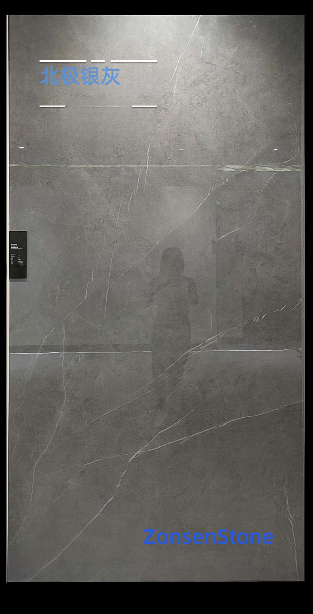 Arctic Silver Gray