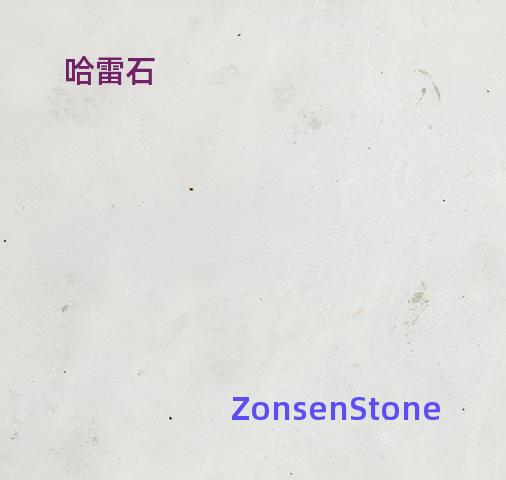 Halley Stone