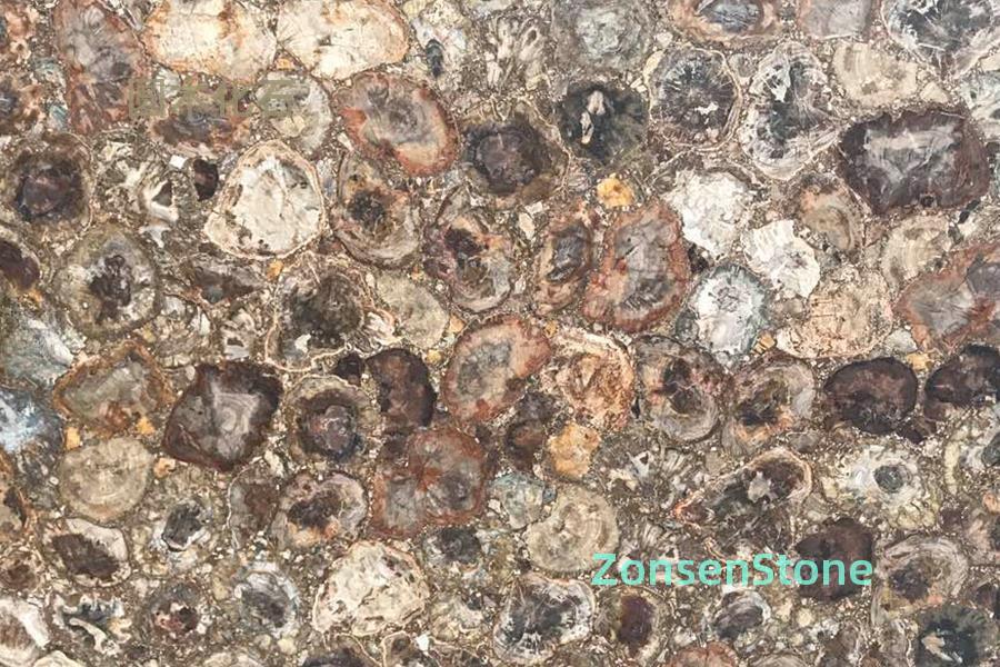fossilized wood