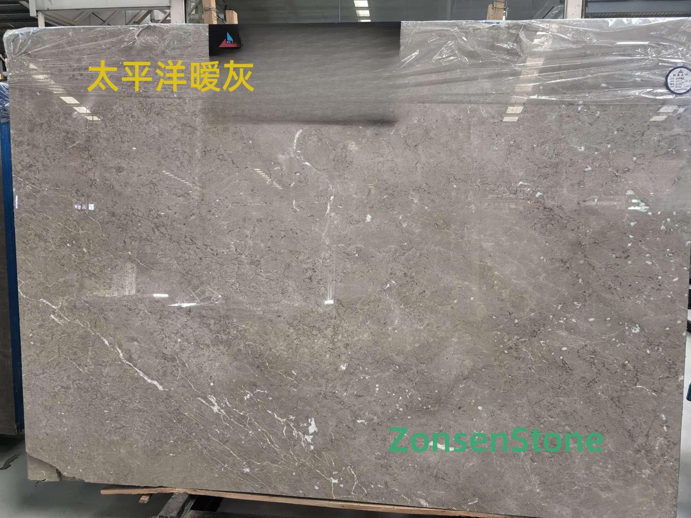 Pacific warm gray