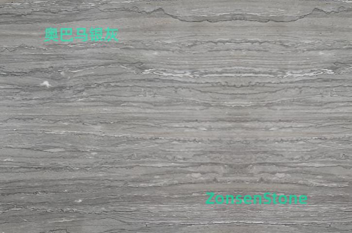 Obama Silver Gray