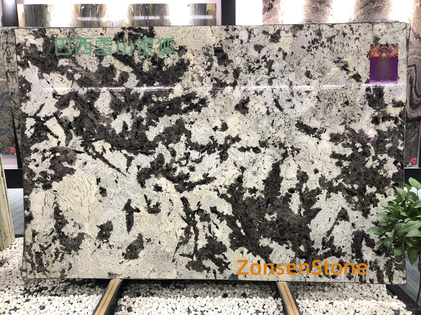 Brazilian Snow Mountain Silver Fox