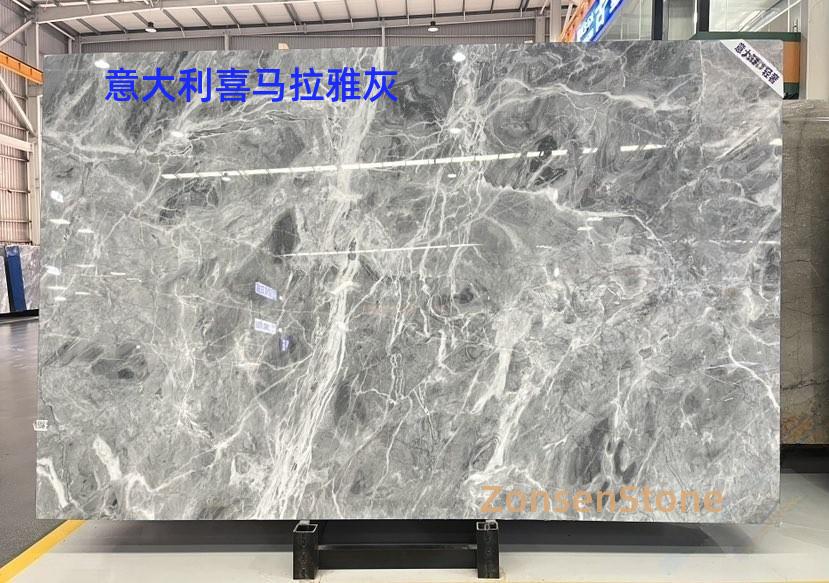 Italian Himalayan Grey