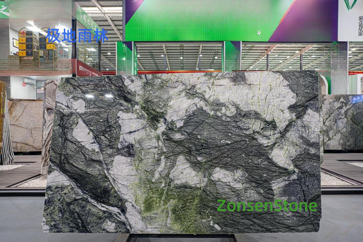polar rainforest