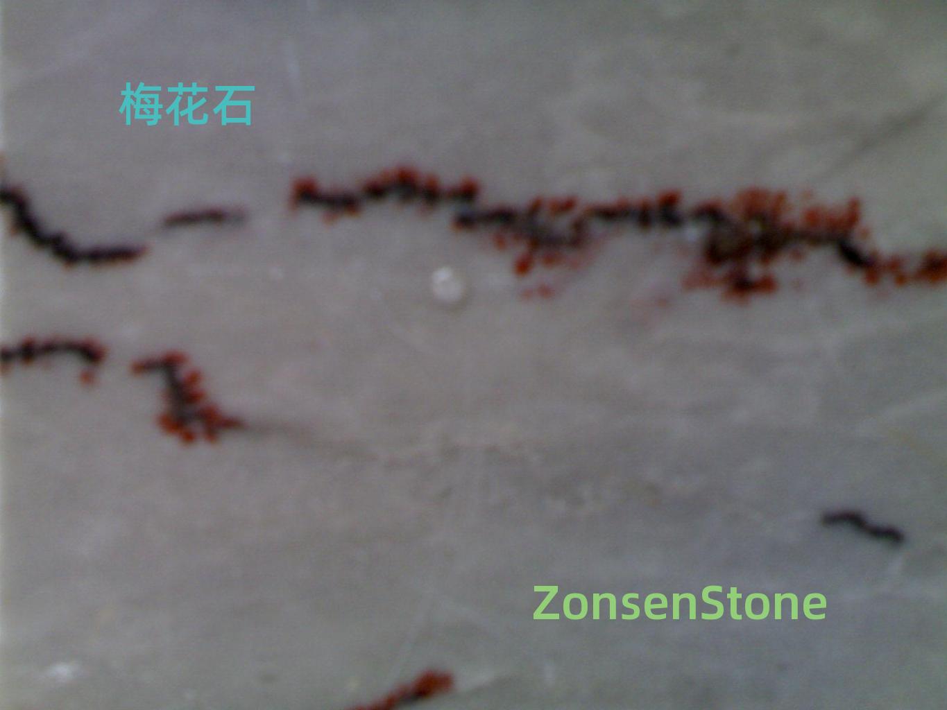 Plum Blossom Stone