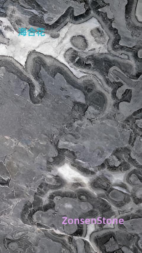 seaweed
