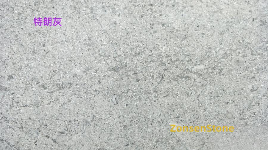 Trump Grey