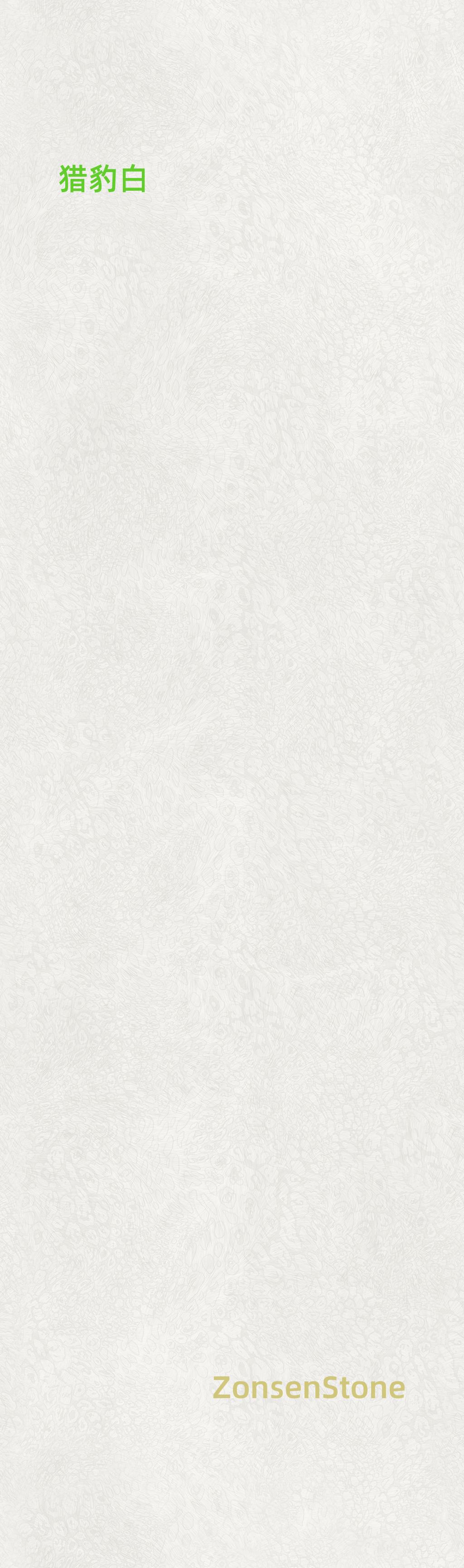 Cheetah White