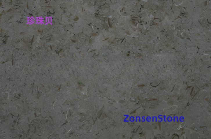 Pearl oyster