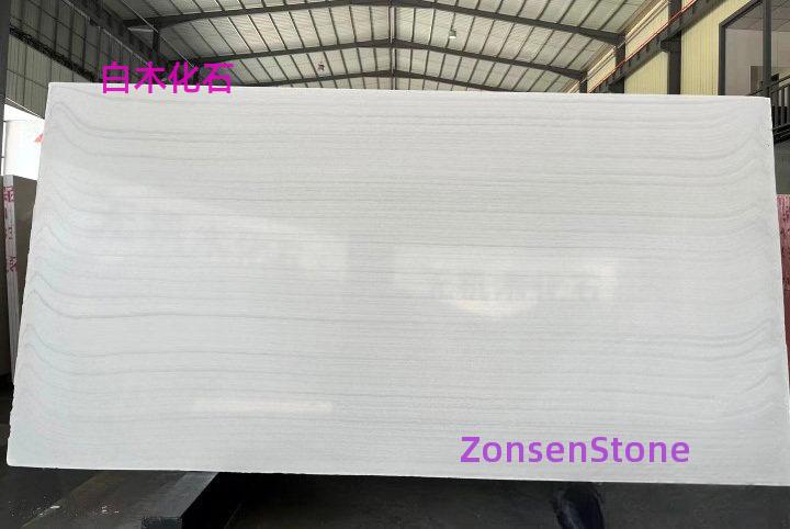White wood fossil