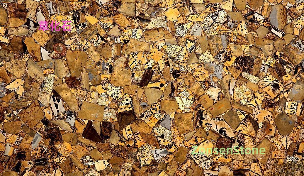 fossilized grass