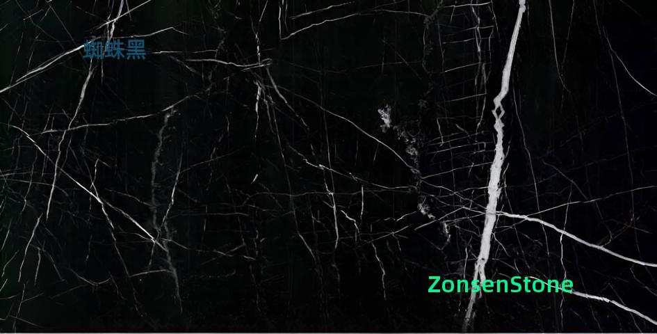 Spider Black