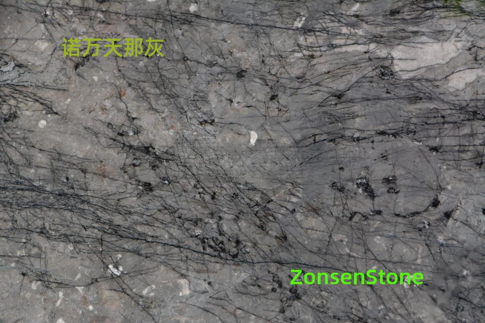 Novantiana Gray