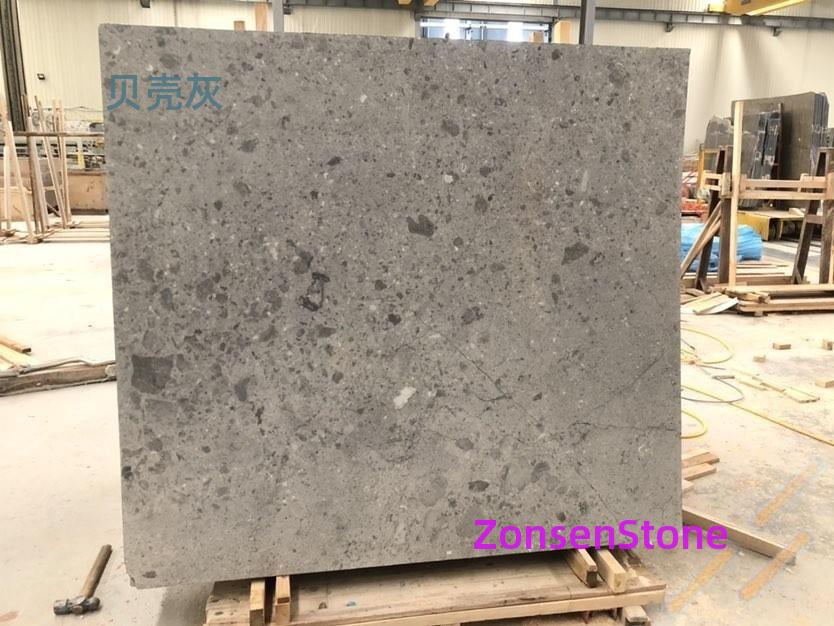 shell gray