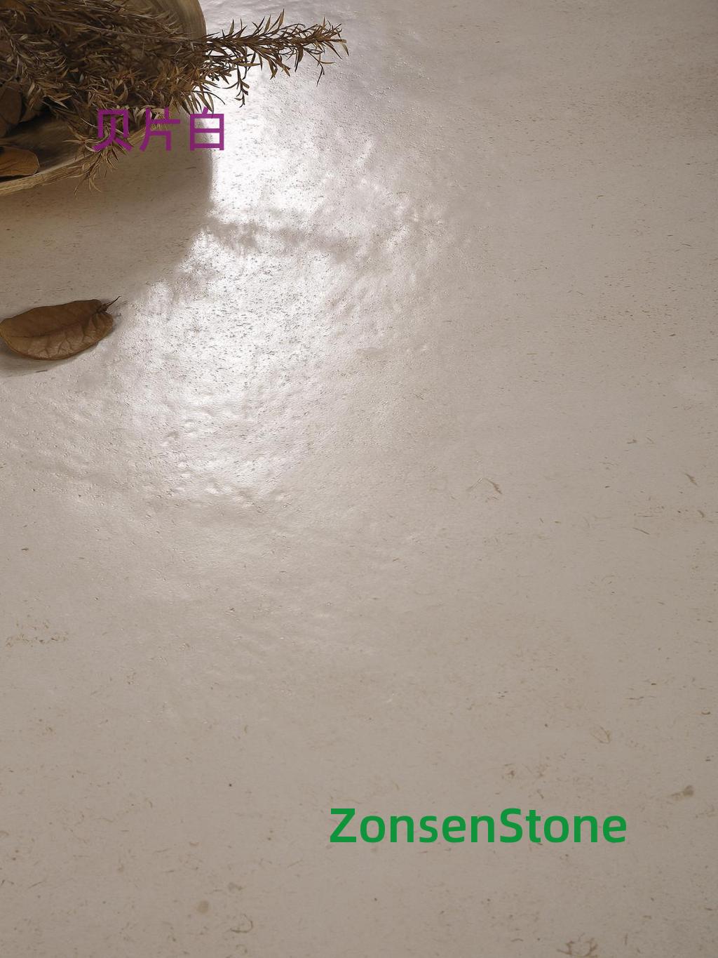 White shell