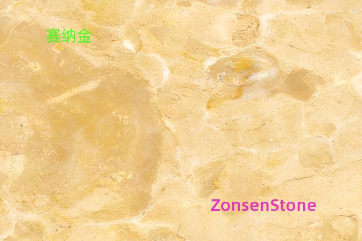 赛纳金