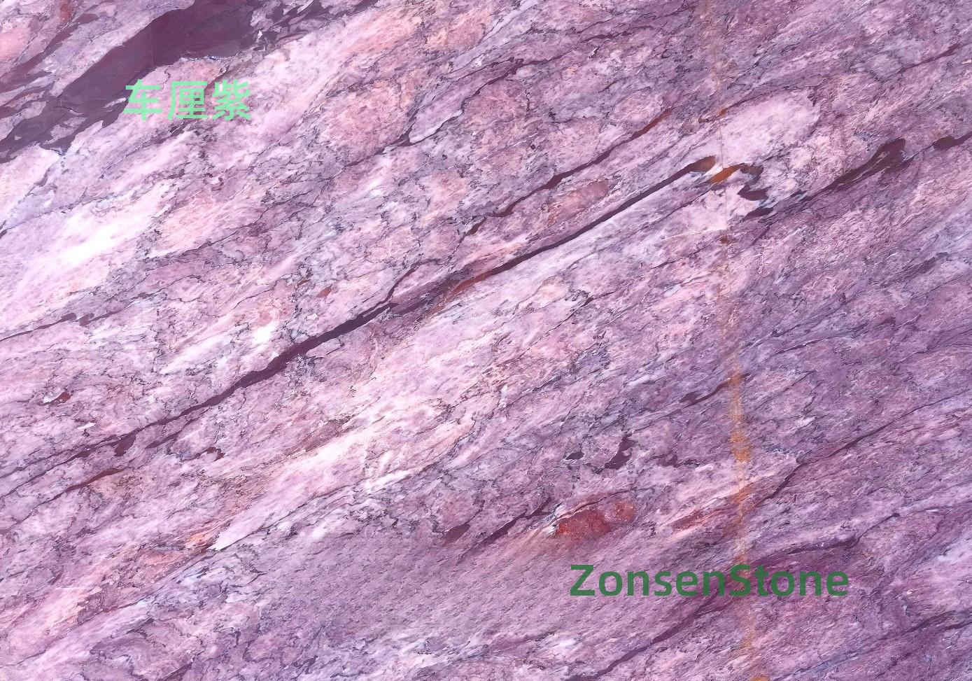 Cherry Purple