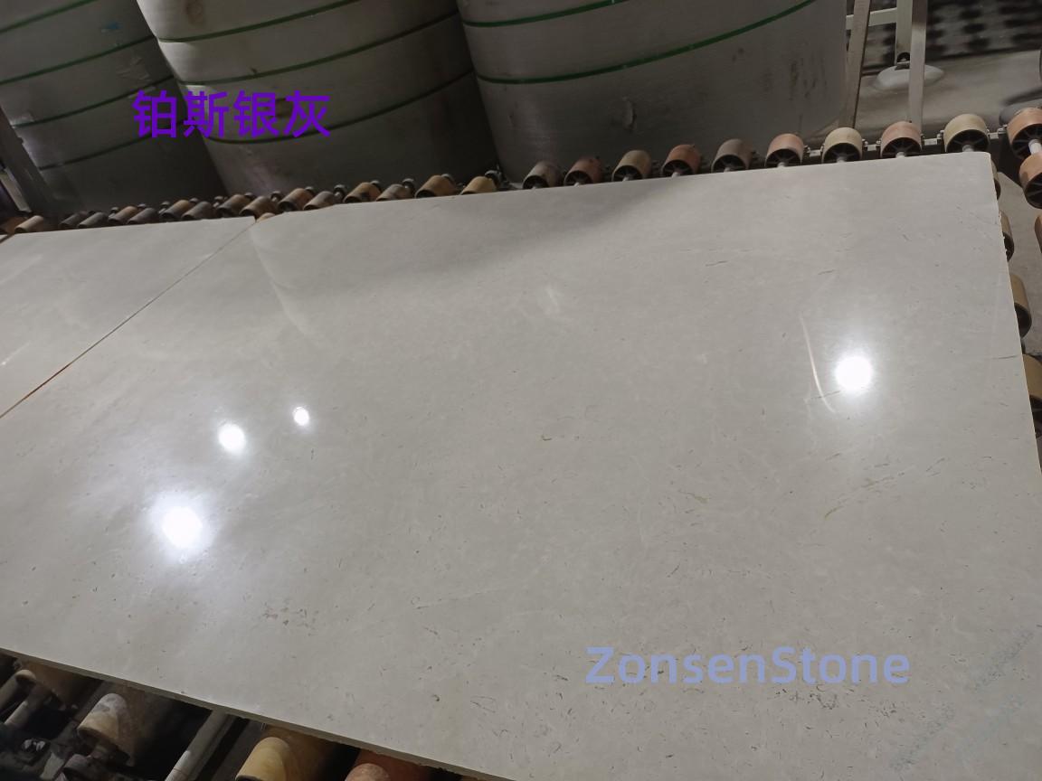 Platinum Silver Gray