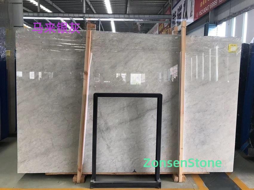 Malaysian Silver Gray