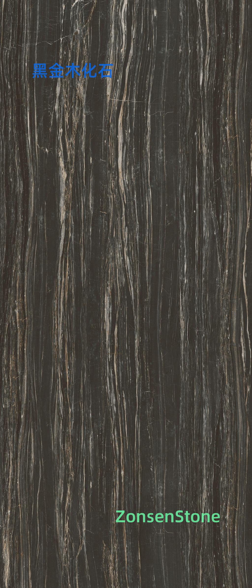Black Gold Wood Petrified