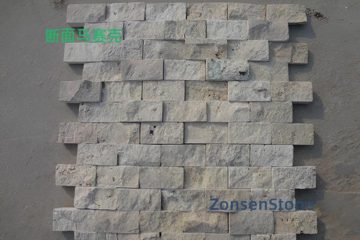 Cross-section mosaic