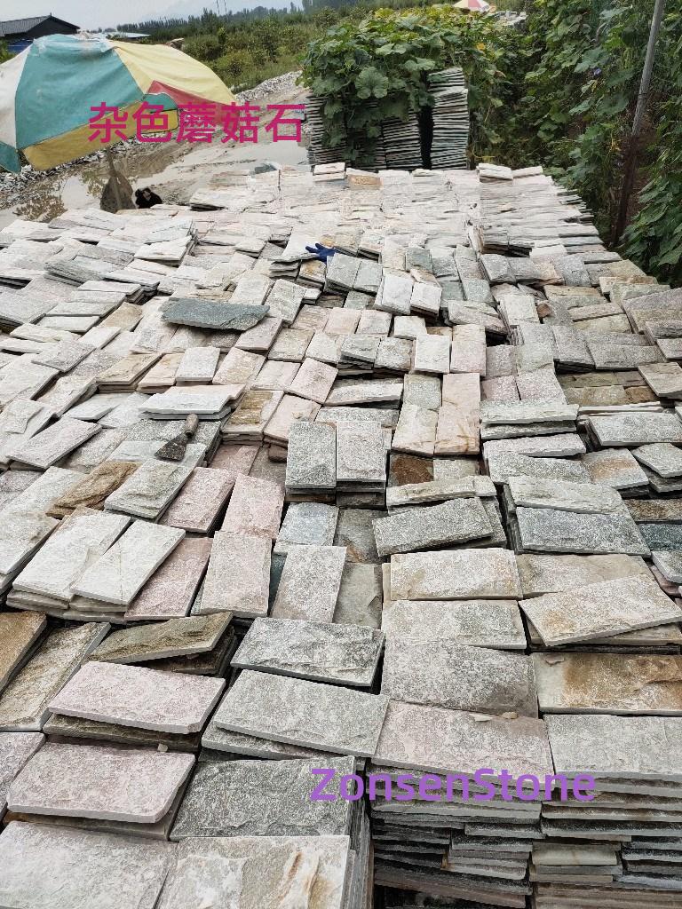 Variegated mushroom stone