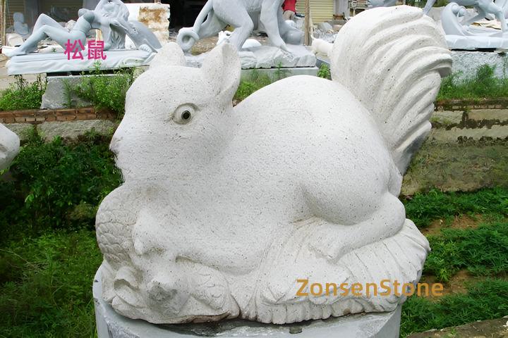 squirrel