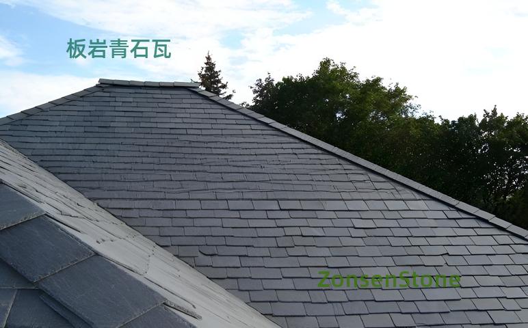 Slate and bluestone tiles