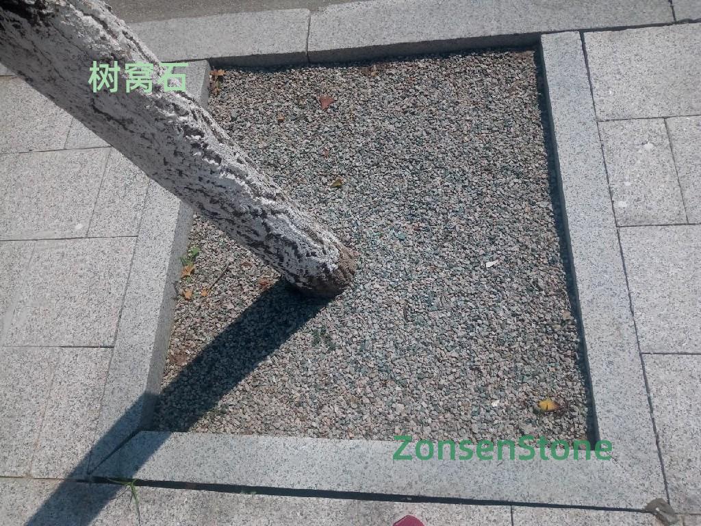 Tree Nest Stone