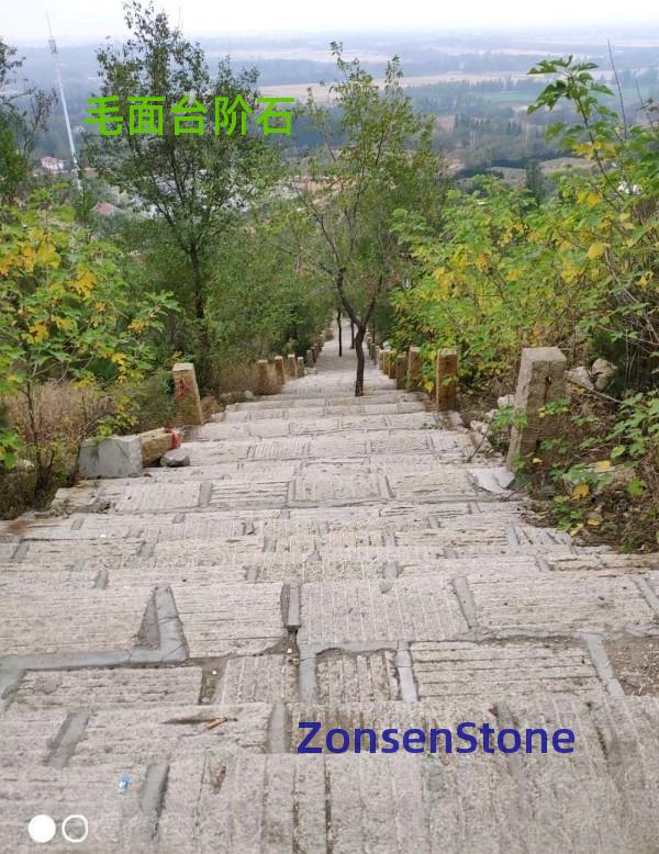 Rough-faced step stones