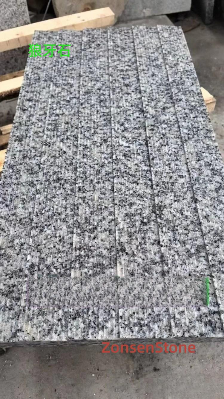 Wolf Fang Stone