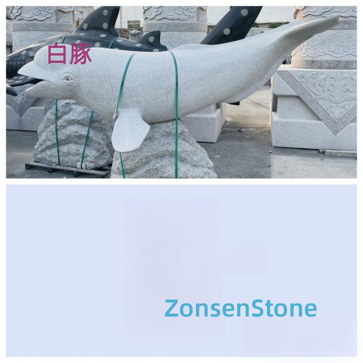 Bai dolphin
