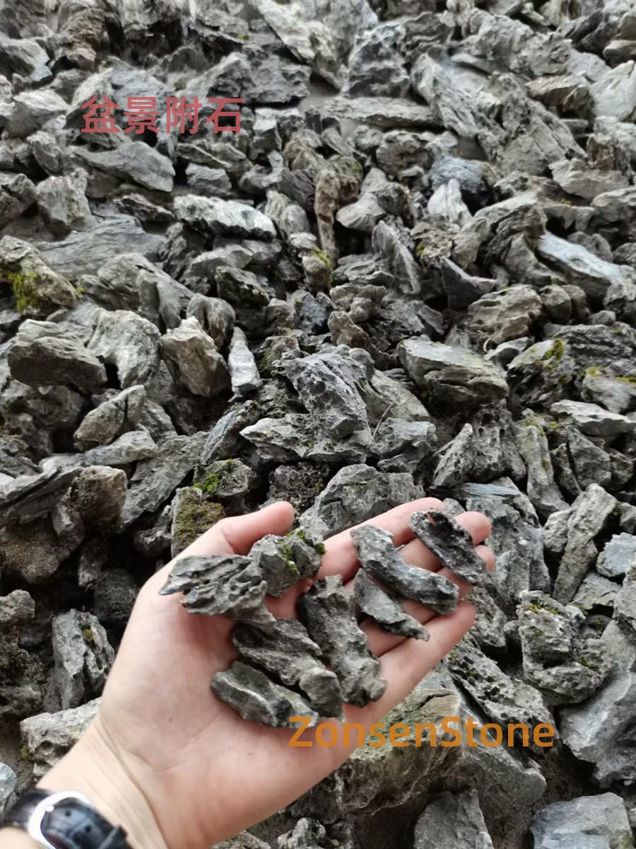 Bonsai with stones