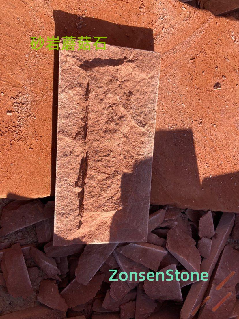 Sandstone mushroom stone