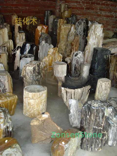 Petrified wood