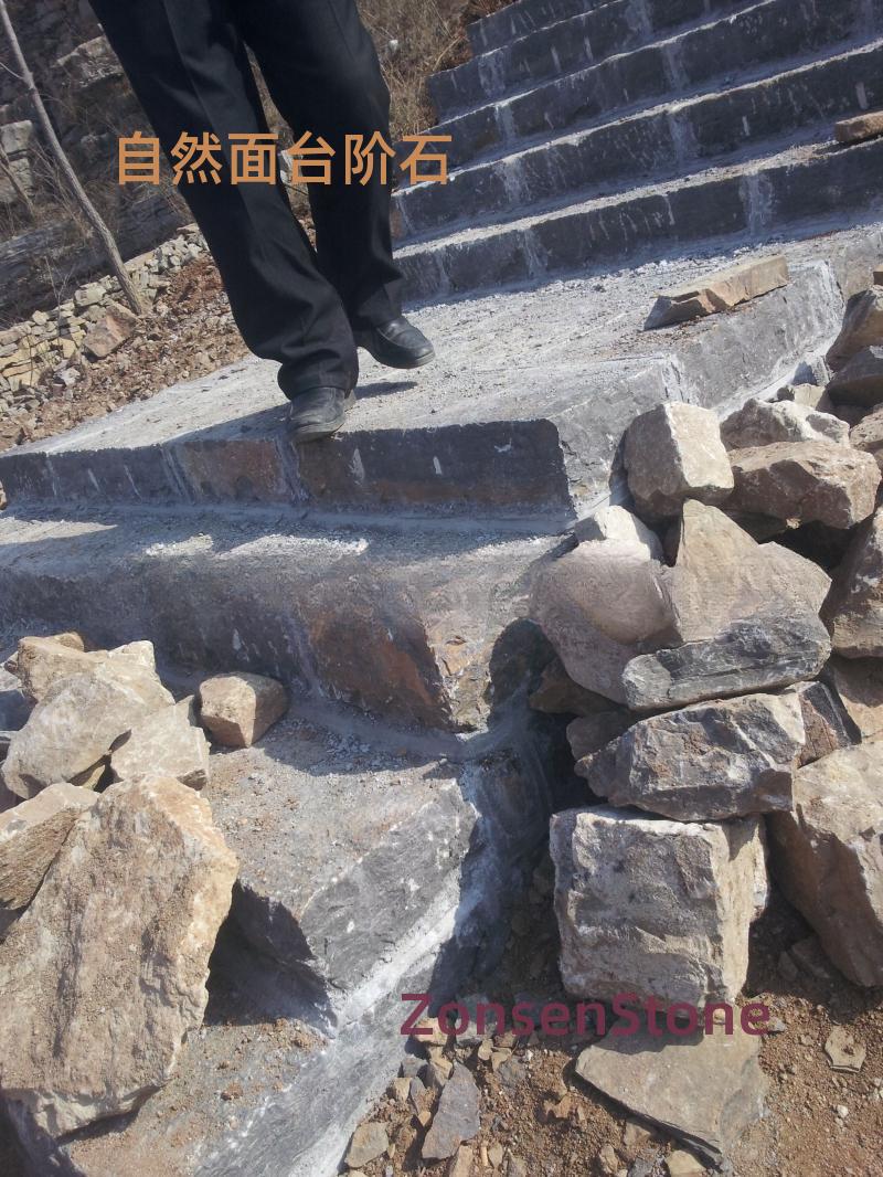 Natural surface steps