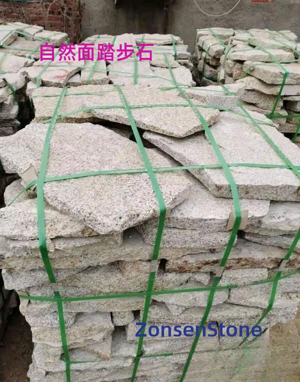 Natural surface stepping stones