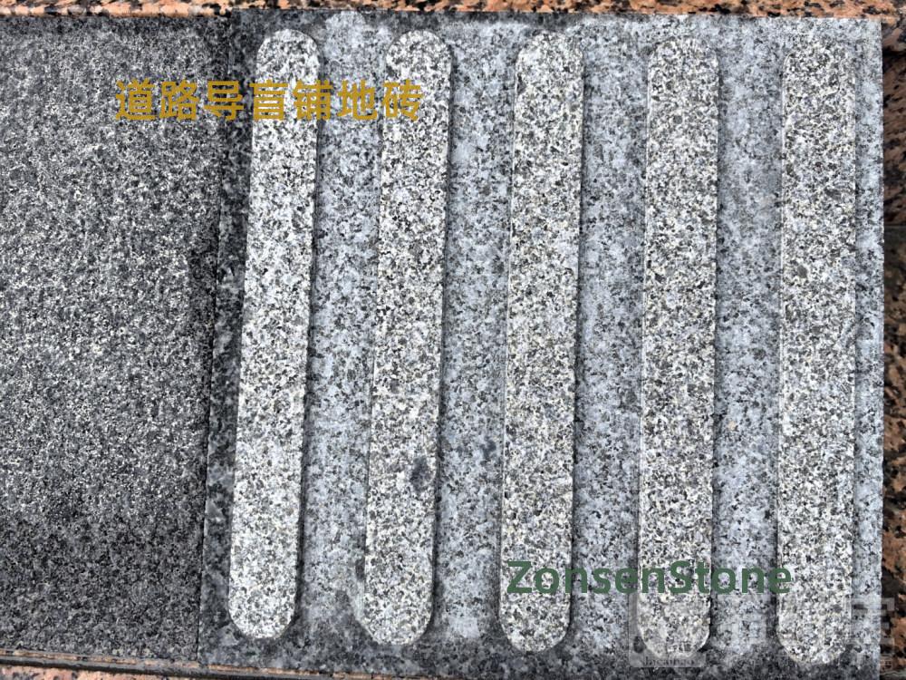 Road guide paving bricks