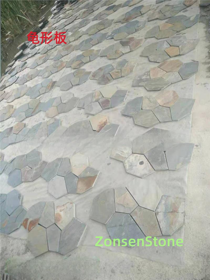 turtle-shaped plate