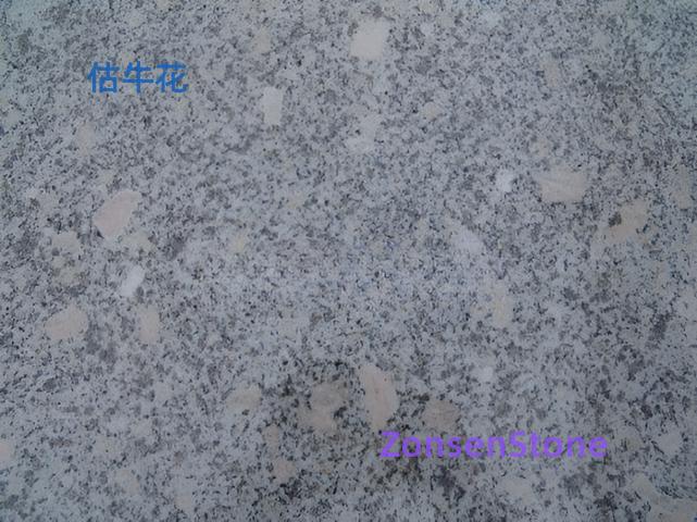 Gu Niu Hua