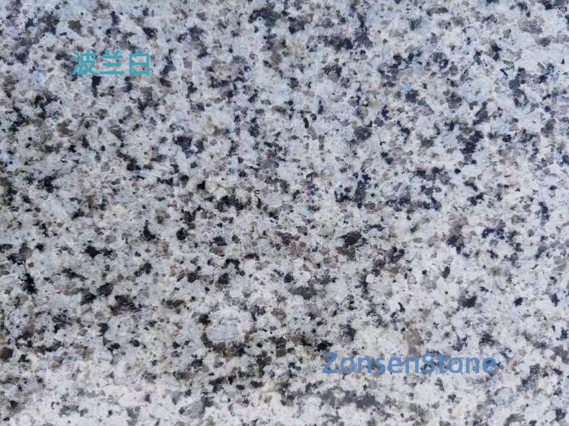 Polish White