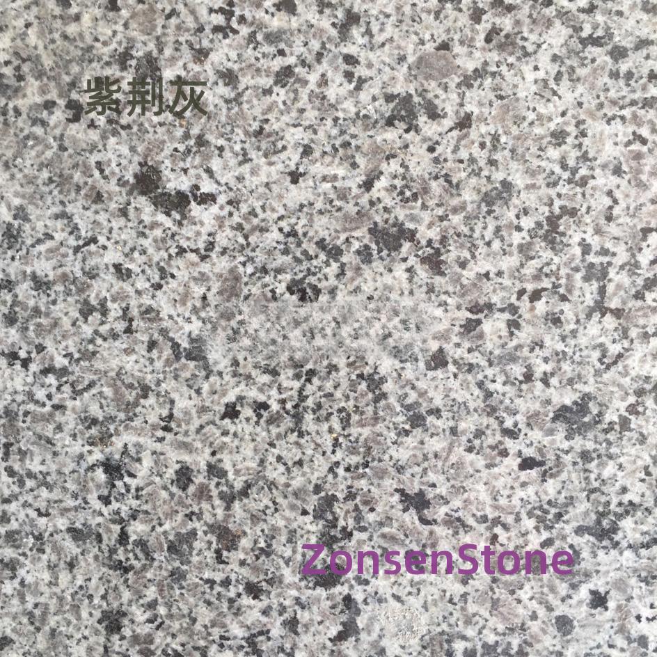 Bauhinia Grey