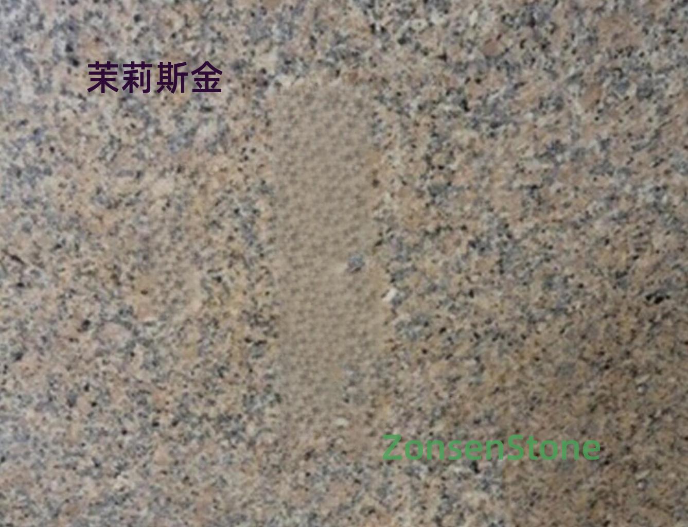 Moliskin