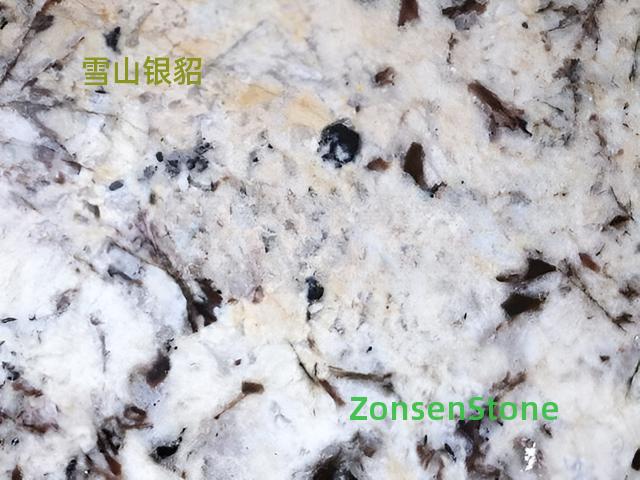 Snow Mountain Silver Sable