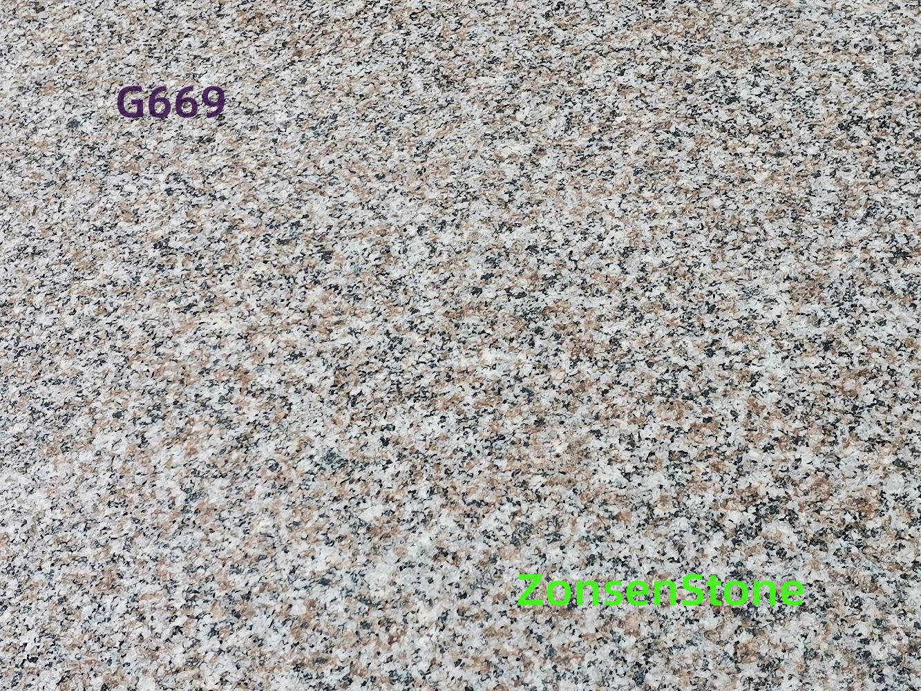 G669