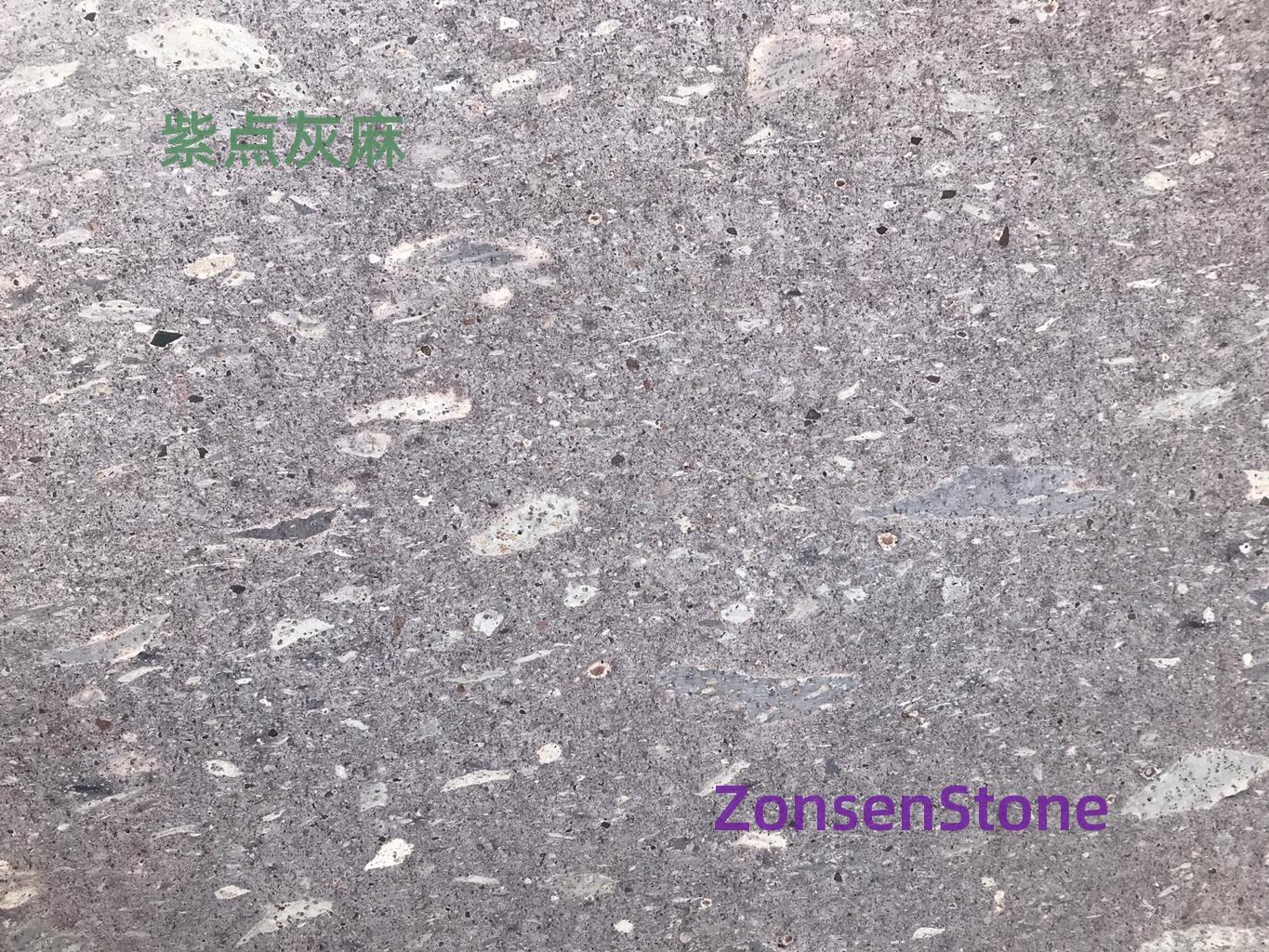 Purple-spotted gray hemp