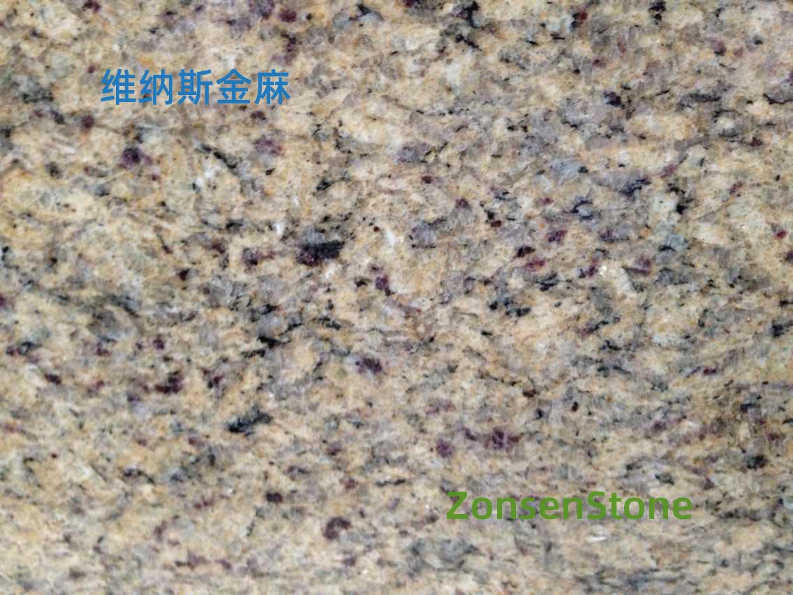 Venus Golden Hemp