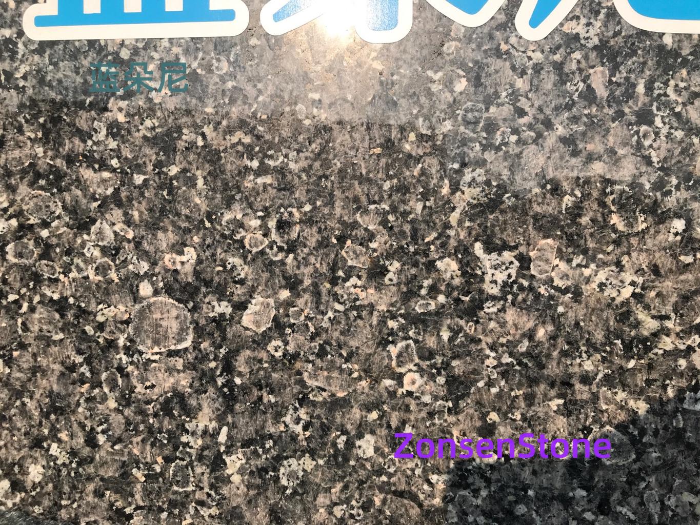 Landoni