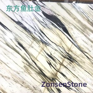 东方鱼肚金