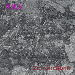 丽兹灰
